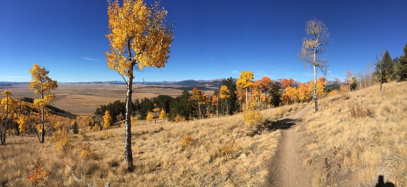 Beautiful fall day on the Colorado Trail heading southwest from Kenosha Pass.