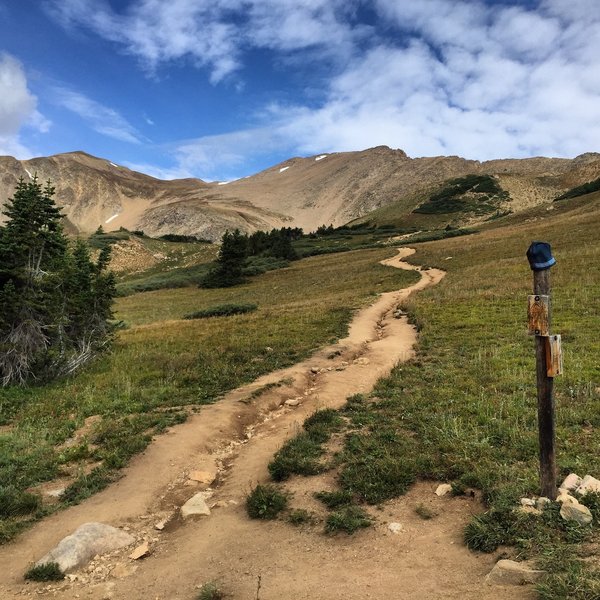 On Herman Gulch Trail, cresting treeline, almost there!