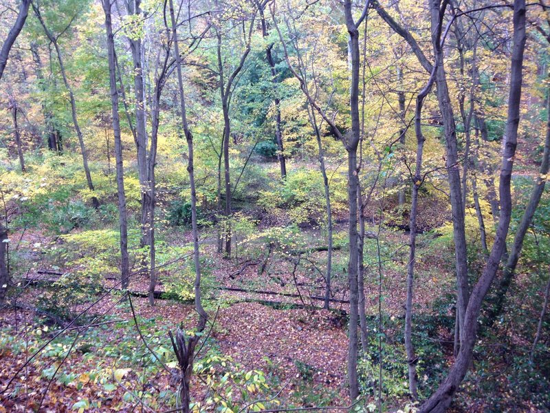 Overlooking Zen's Trail and Squaw Run in early fall.