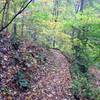 A fall perspective along the Upper Trail.