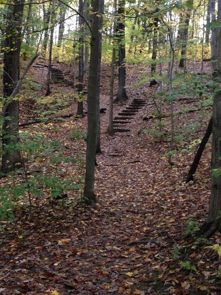 A random series of stone steps along the trail.