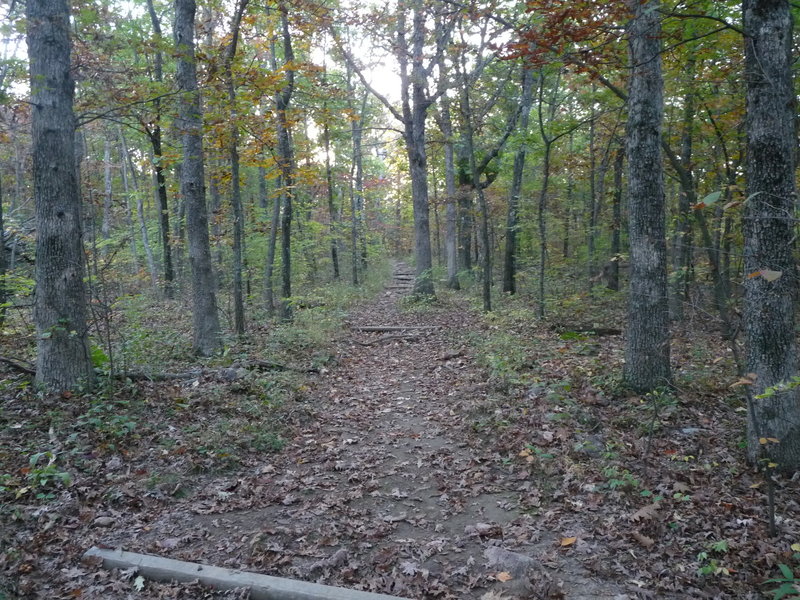 A well-maintained portion of this rugged route.