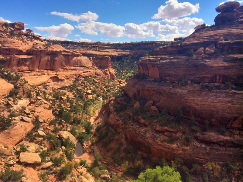 A beautiful canyon near Moon House ruin.