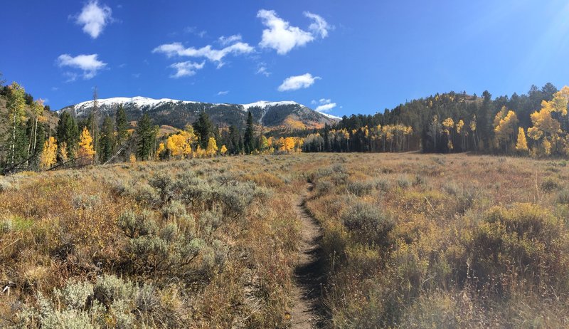 Heading up the trail.