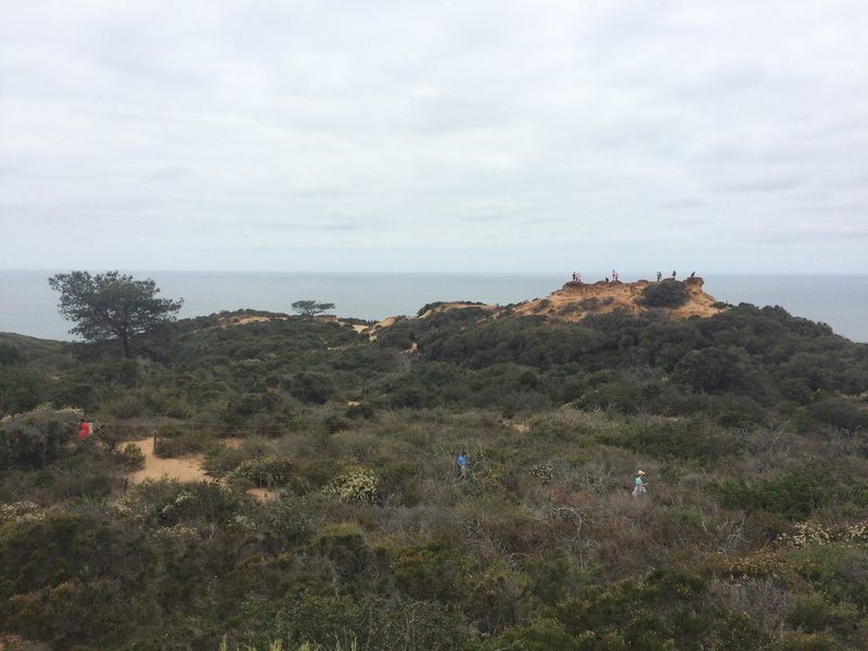 Heading through Torrey Pines State Natural Reserve.