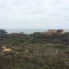 Heading through Torrey Pines State Natural Reserve.