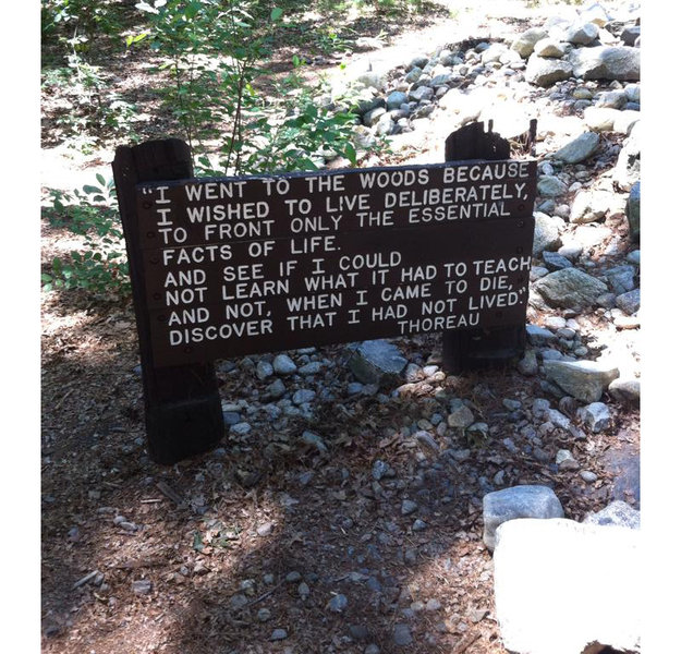 Thoreau's cabin site.