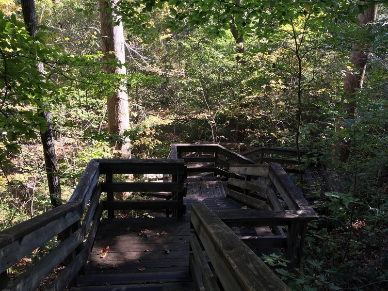 Stairs at Beech Tree Cove Overlook.