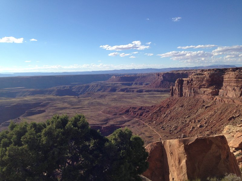 View from Muley Point.