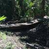 This is one of the bike features along the Panther Pass Trail, a shared biking and hiking trail.