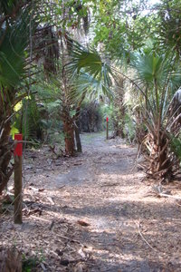 The Caracara Prairie Preserve Red Trail showing trail markers.