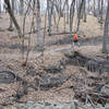 A runner at Turtle River State Park.