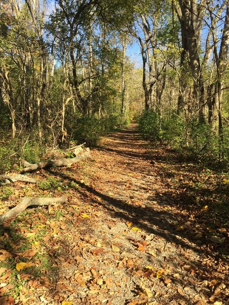 Englewood Green Trail
