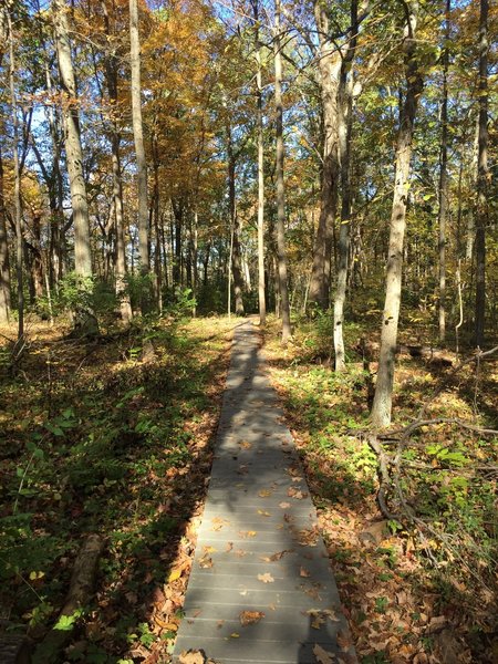 Boardwalk