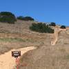 Side Hill - Connector to Del Mar Mesa Preserve.