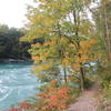 The Devil's Hole Trail leads right near the water's edge.