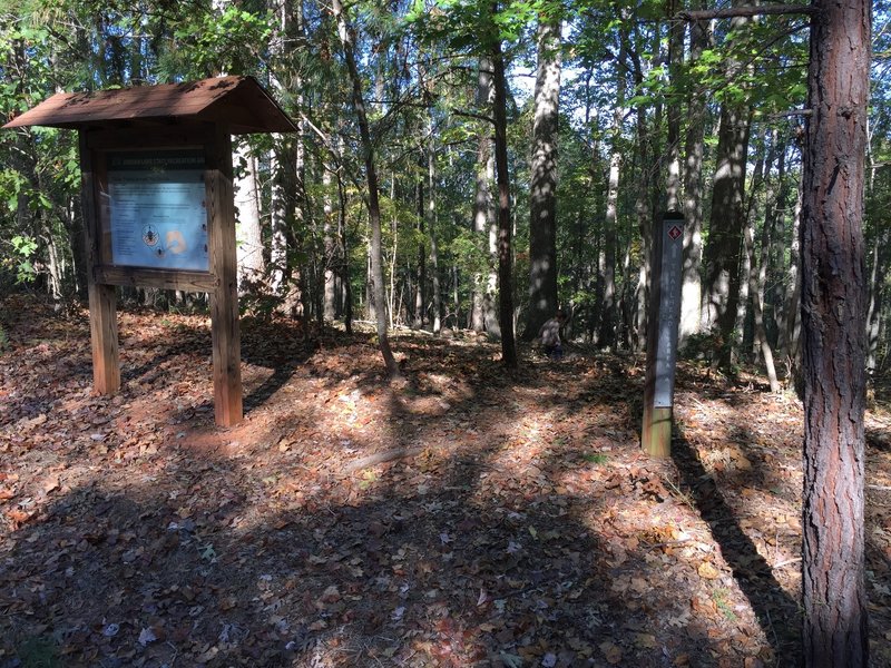 Red Loop Trailhead from Area B Campground parking lot.