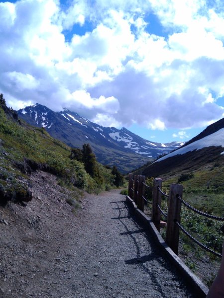 Looking into the snow fields in the distance on the Blueberry Loop.