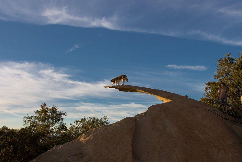 Exploring Potato Chip Rock.