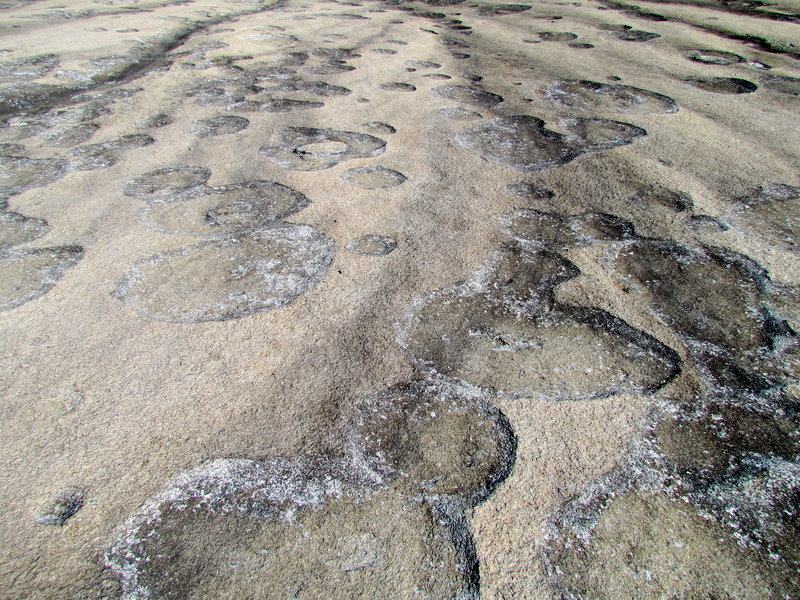 A closeup of the unique formations visible along the Cedar Rock trail at Stone Mountain State Park.