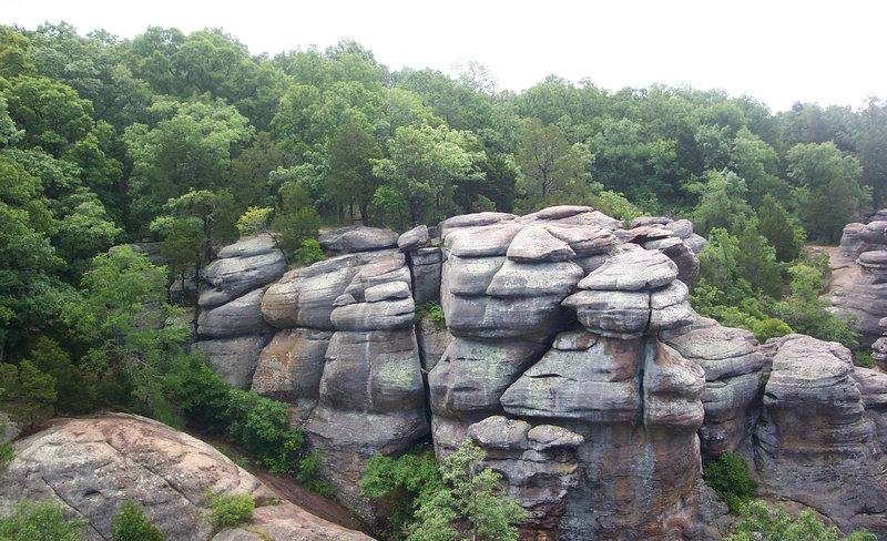 Rocks and trees.