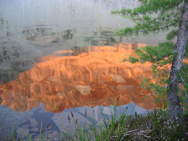 Star Peak reflected in Star Lake at sunset, with alpine larch (Larix lyalli).