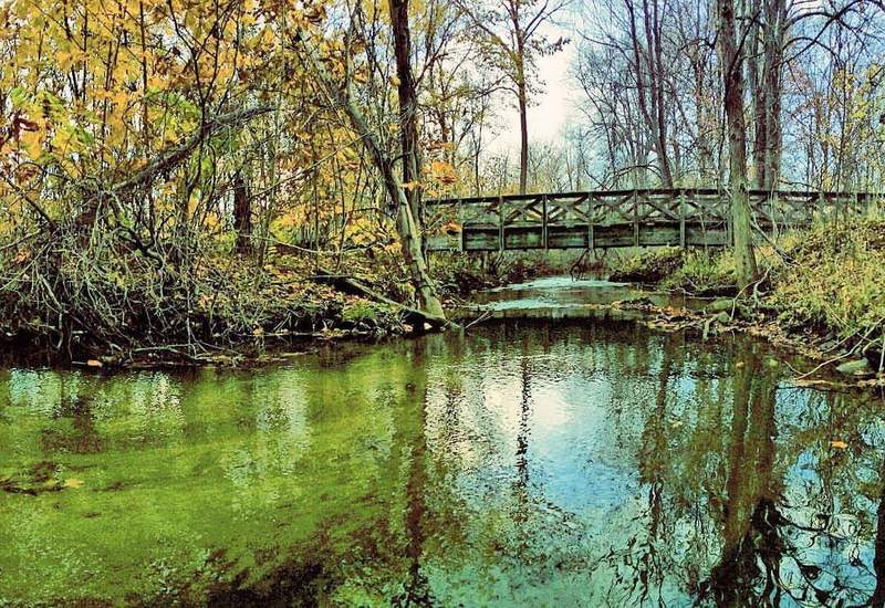 Bridge 7, early November, 2015.