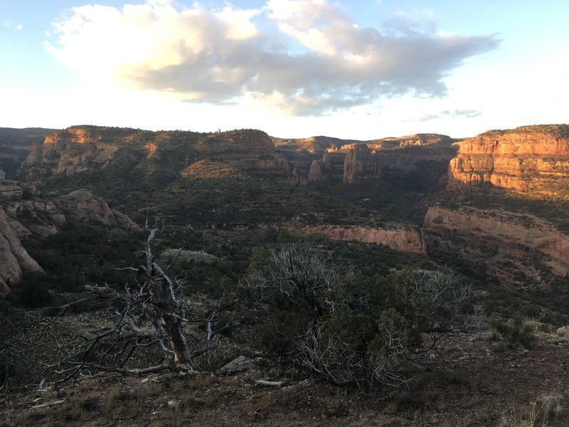 This is a great trail running around the rim of the canyon.