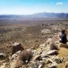 Ryan Mountain. Joshua Tree National Park.