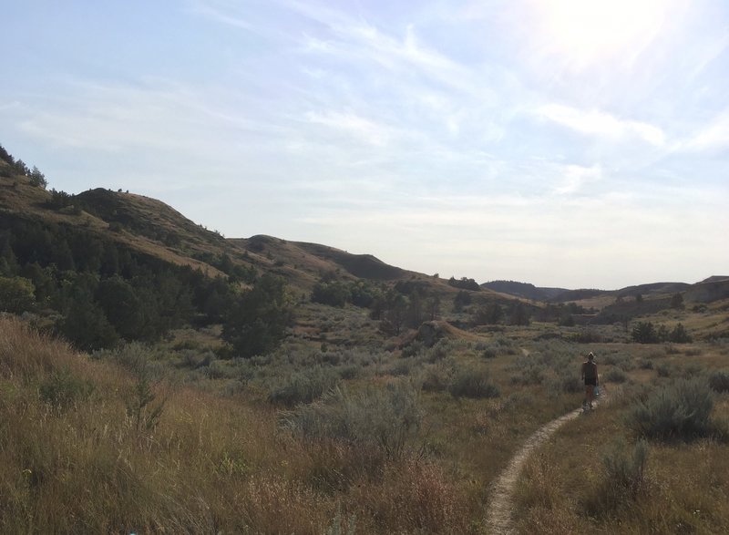 Theodore Roosevelt National Park.