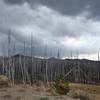 Yellowstone National Park.