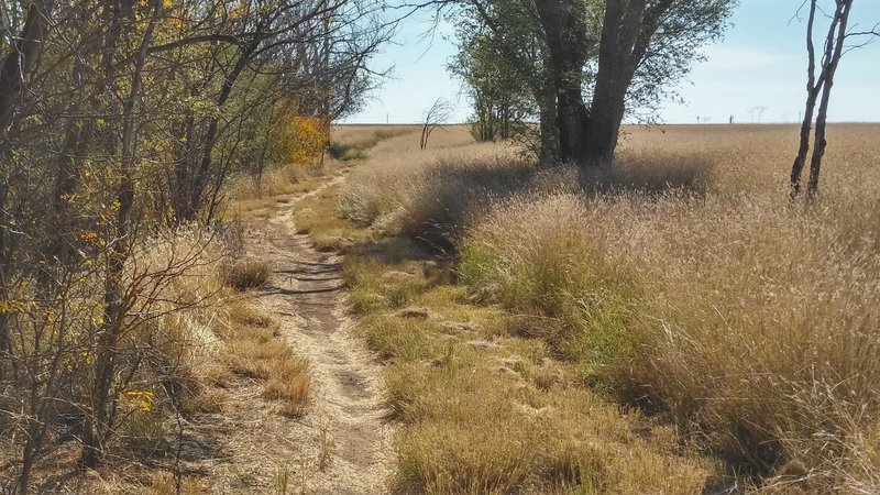 Plainview Trail.