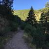 Rattlesnake Gulch Trail.