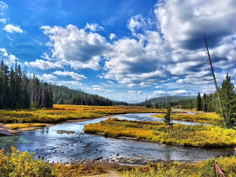 Yellowstone National Park.