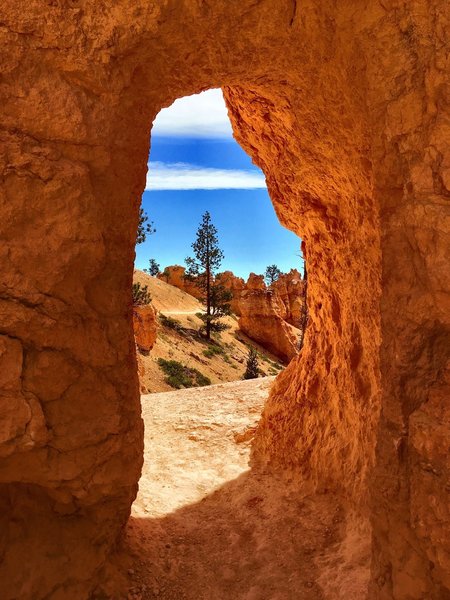 Bryce Canyon National Park.