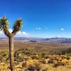 Joshua Tree National Park.