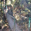 The Terry Riley suspension bridge along the Lewis and Clark Trail.