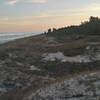 A nice shot of the lake, beach, and forest.