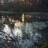 A pond on the Ice Age Trail.