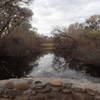 Palm Lake in January.