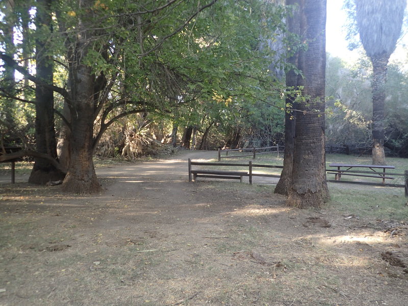 Picnic area at the Palm Lake trail.