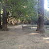 Picnic area at the Palm Lake trail.