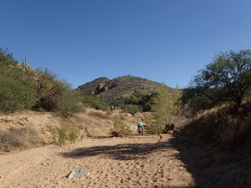 A nice desert hike down the Badger Springs Wash Trail.