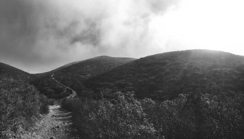 Foggy morning hike.