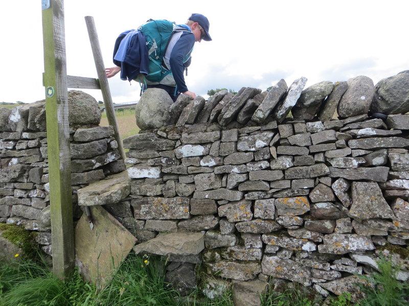 Amazing stone walls and stiles. The farmers keep them in good nick, so hikers can cross their fields properly.