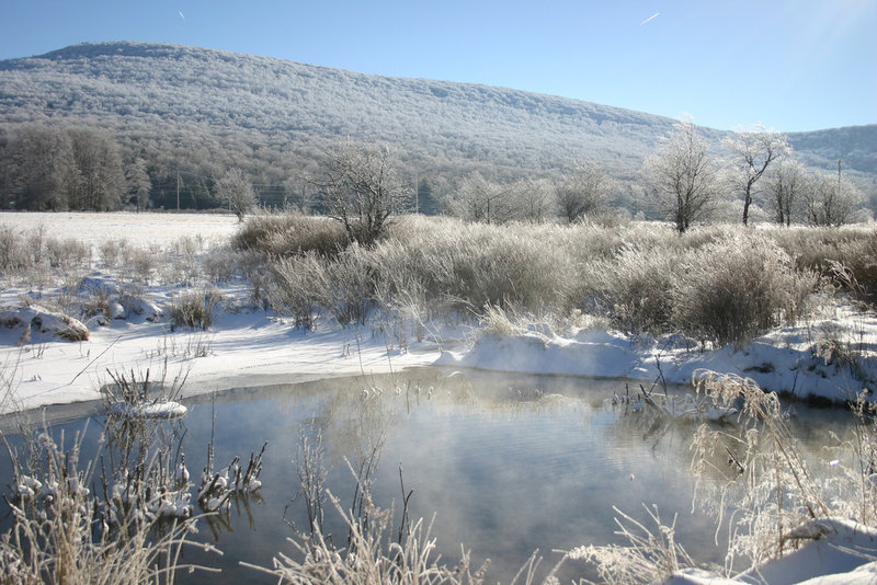 Pond in winter.