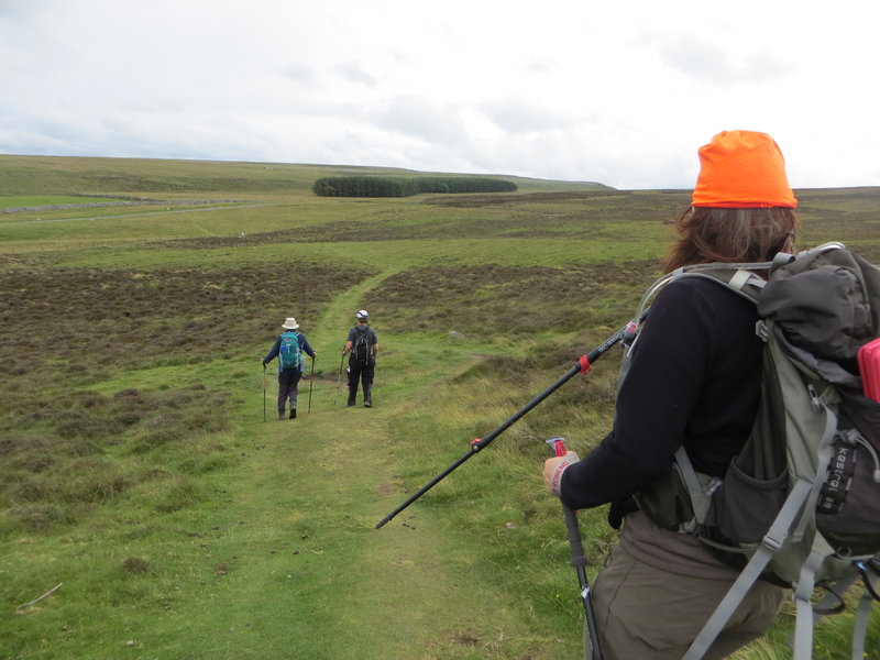 Crossing rolling hills near Orton.