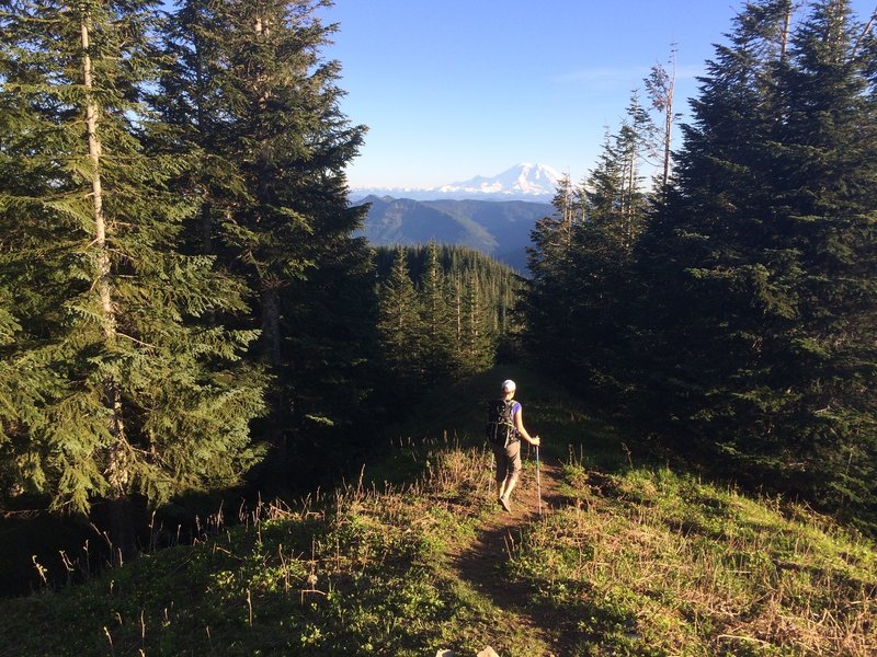 Mt. Rainier from Mt. Washington.