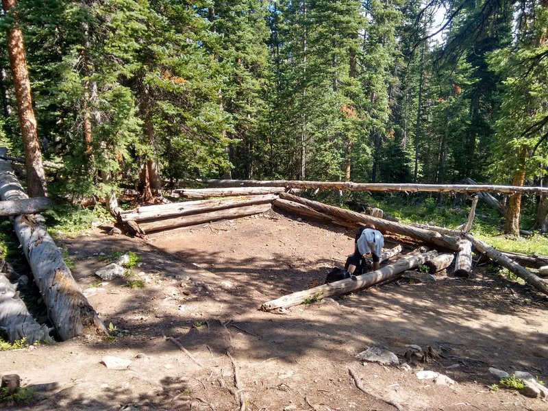 Old worn down foundation of cabin on the way up Buffalo Mountain.