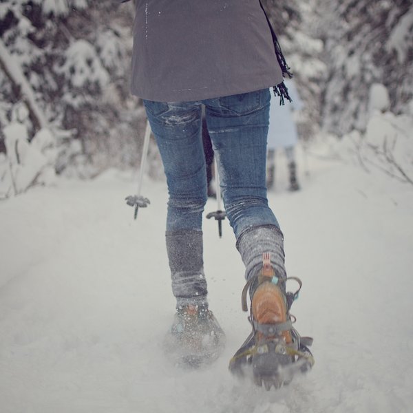 Snowshoeing along the Albert Loop.